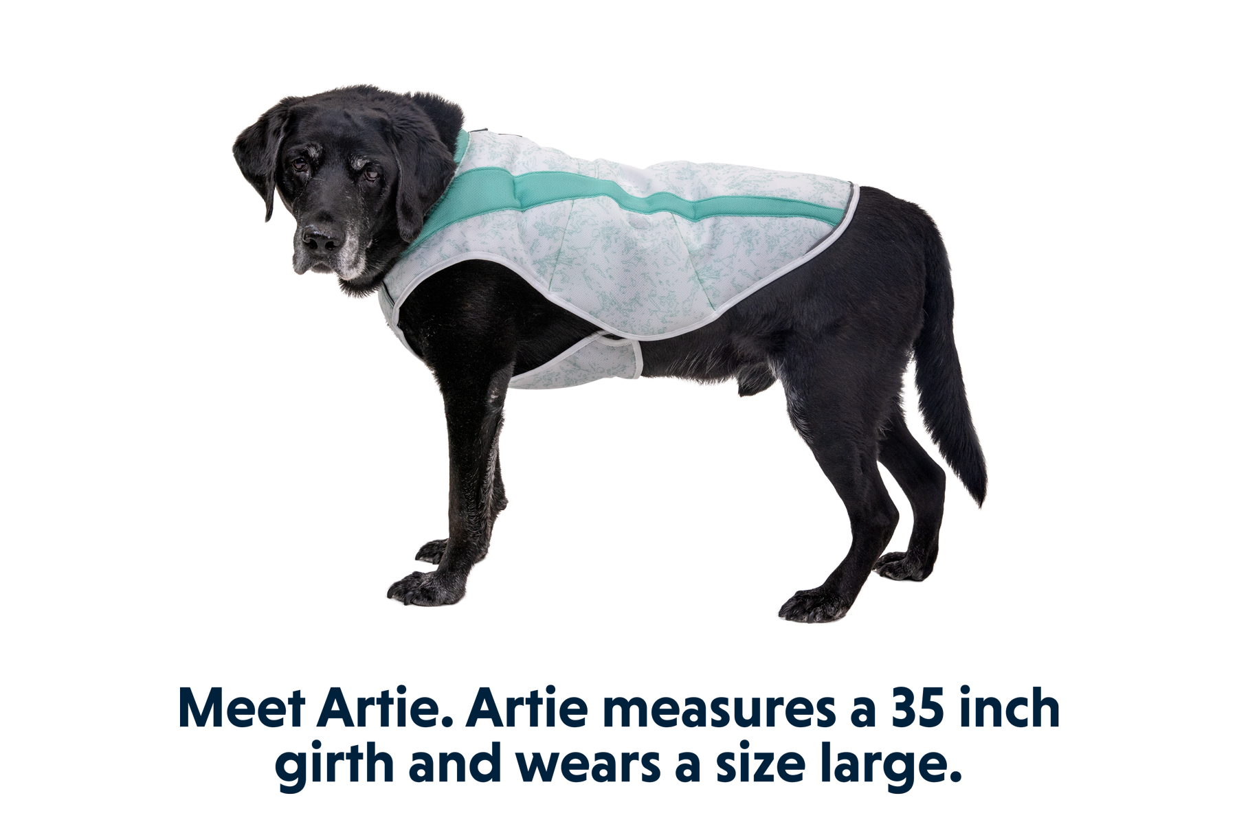 05403_Swamp-Cooler-Vest_Sage-Green_ARTIE_LXL.png