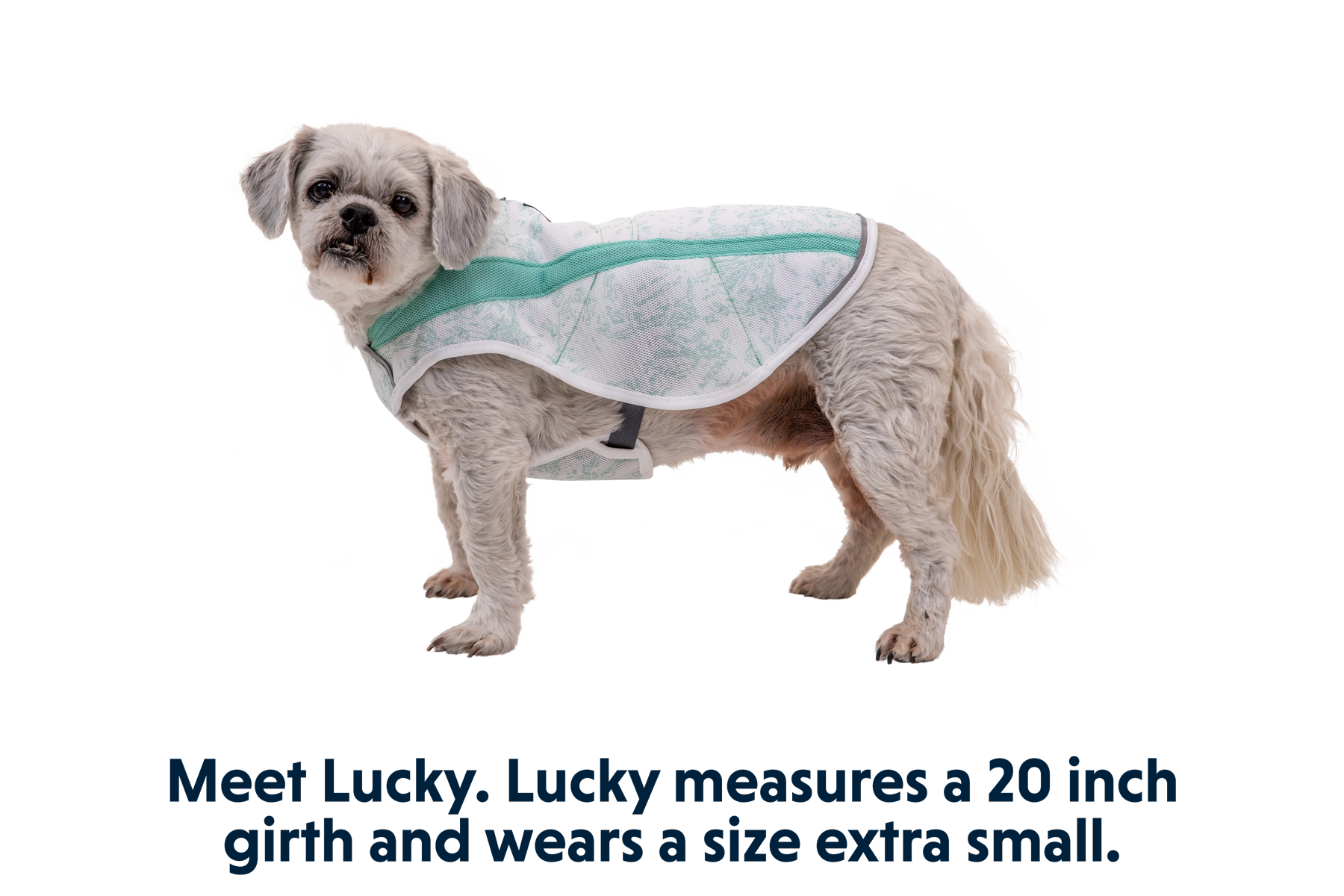 05403_Swamp-Cooler-Vest_Sage-Green_LUCKY_XSmall.png